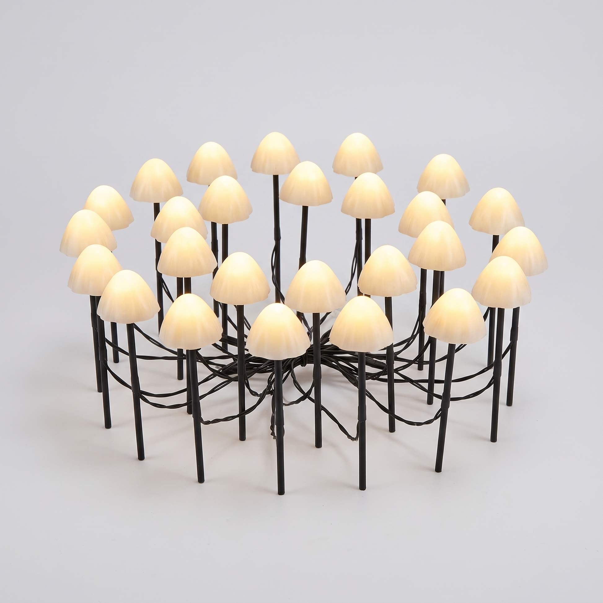 Fungia Solar Mushroom studio