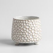 Pinia Ceramic Storage studio