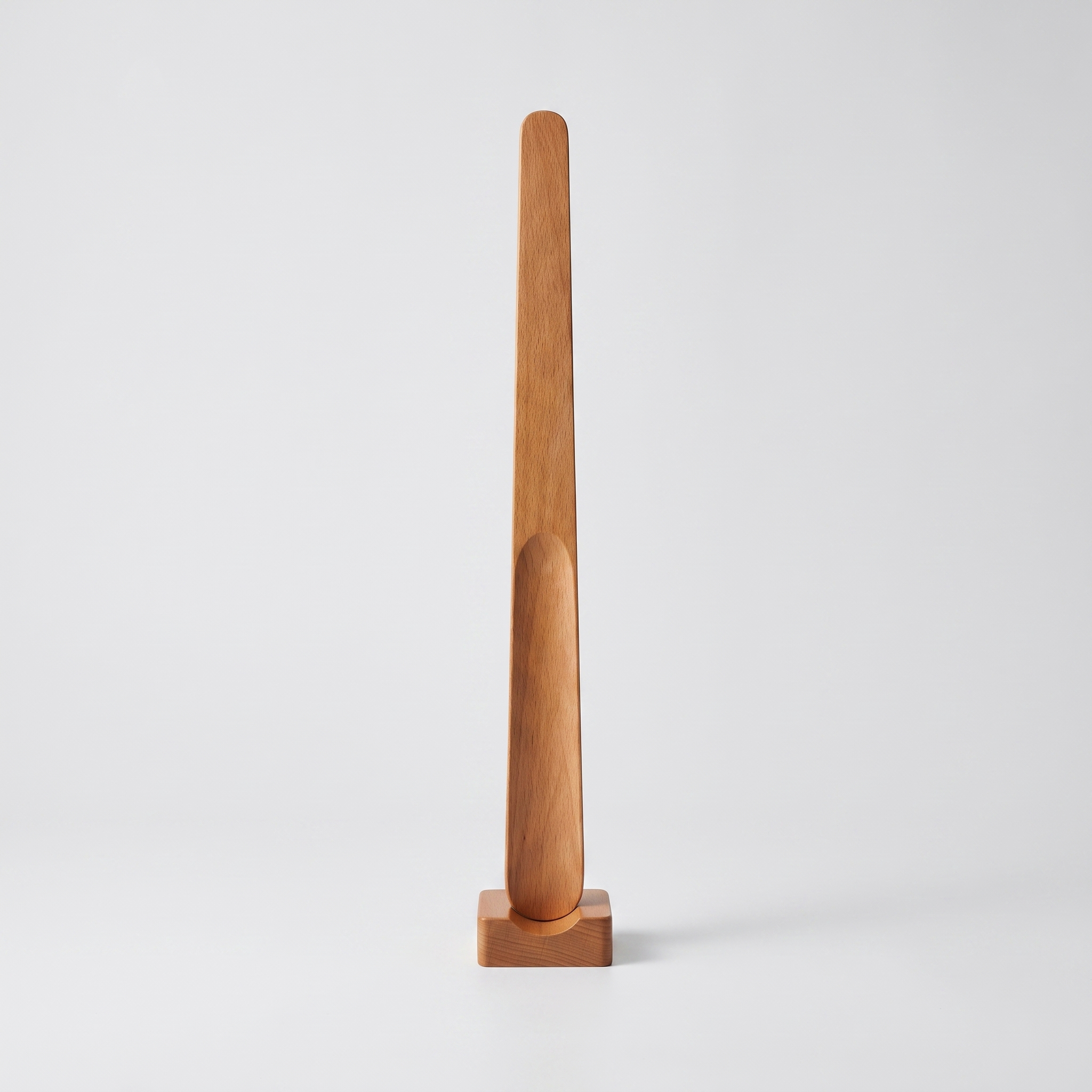 Betula 55cm Beech studio